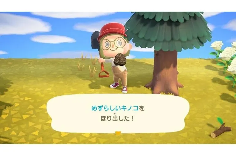 ○○